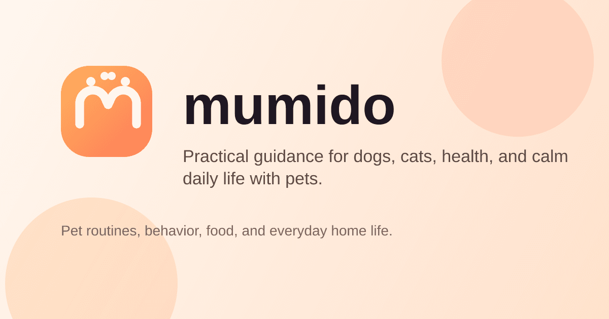 USB-C charging basics